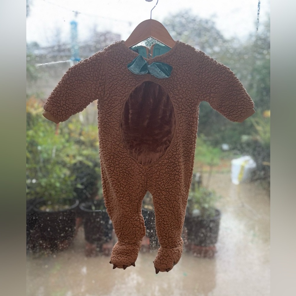 Archie Bear Costume Baby Costume